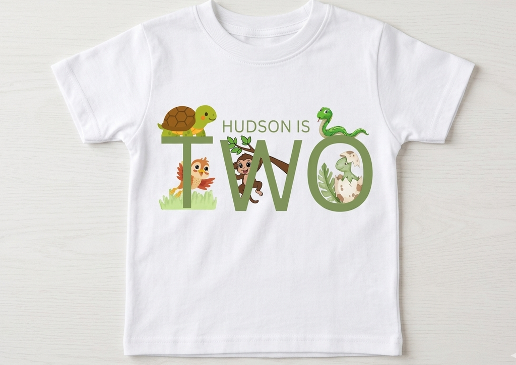 Personalised Dinosaur First, Second Birthday Tshirt, Animal Outfit, Boys One Two